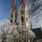 Im neuen Glanz erstrahlt der Dom.