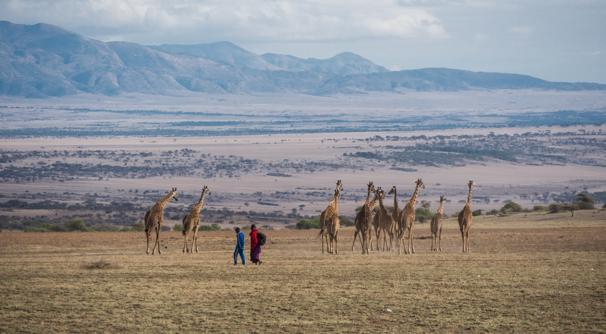 Im Ngorogoro Krater, Tansania