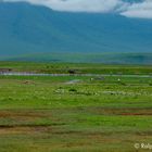 Im Ngorongoro