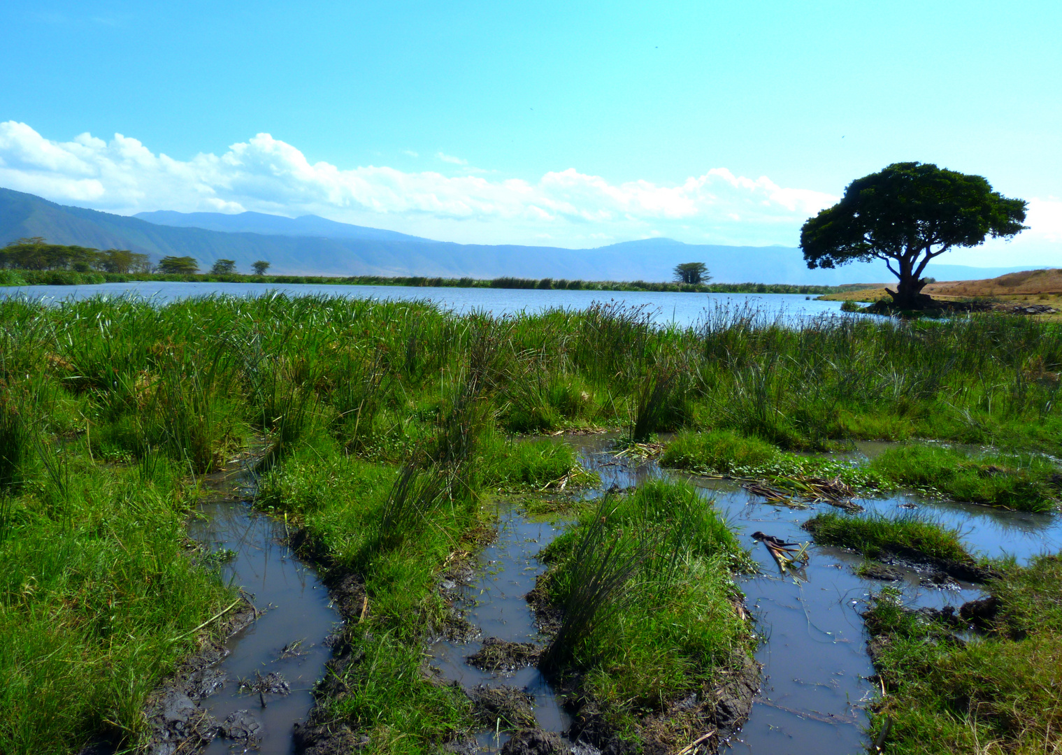 im Ngorongoro-Krater