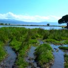 im Ngorongoro-Krater