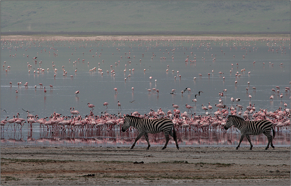 im ngorongoro krater