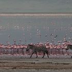 im ngorongoro krater