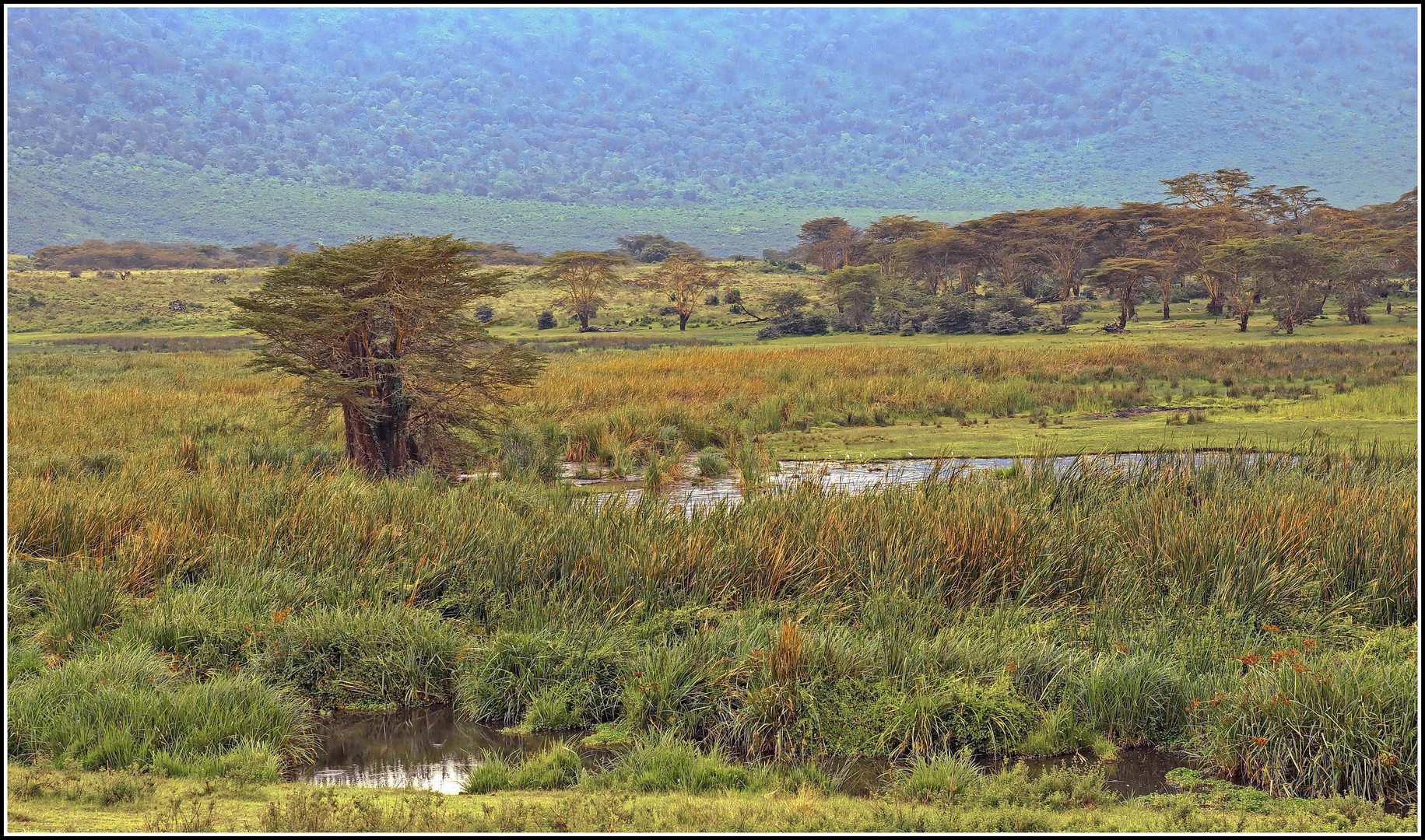 Im Ngorongoro-Krater