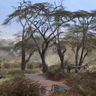 Im Ngorongoro Krater / Tansania