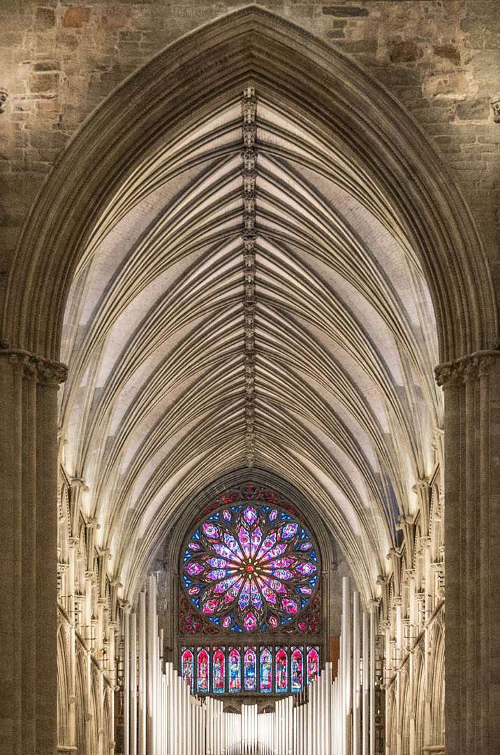 Im Nidaros Dom zu Trondheim