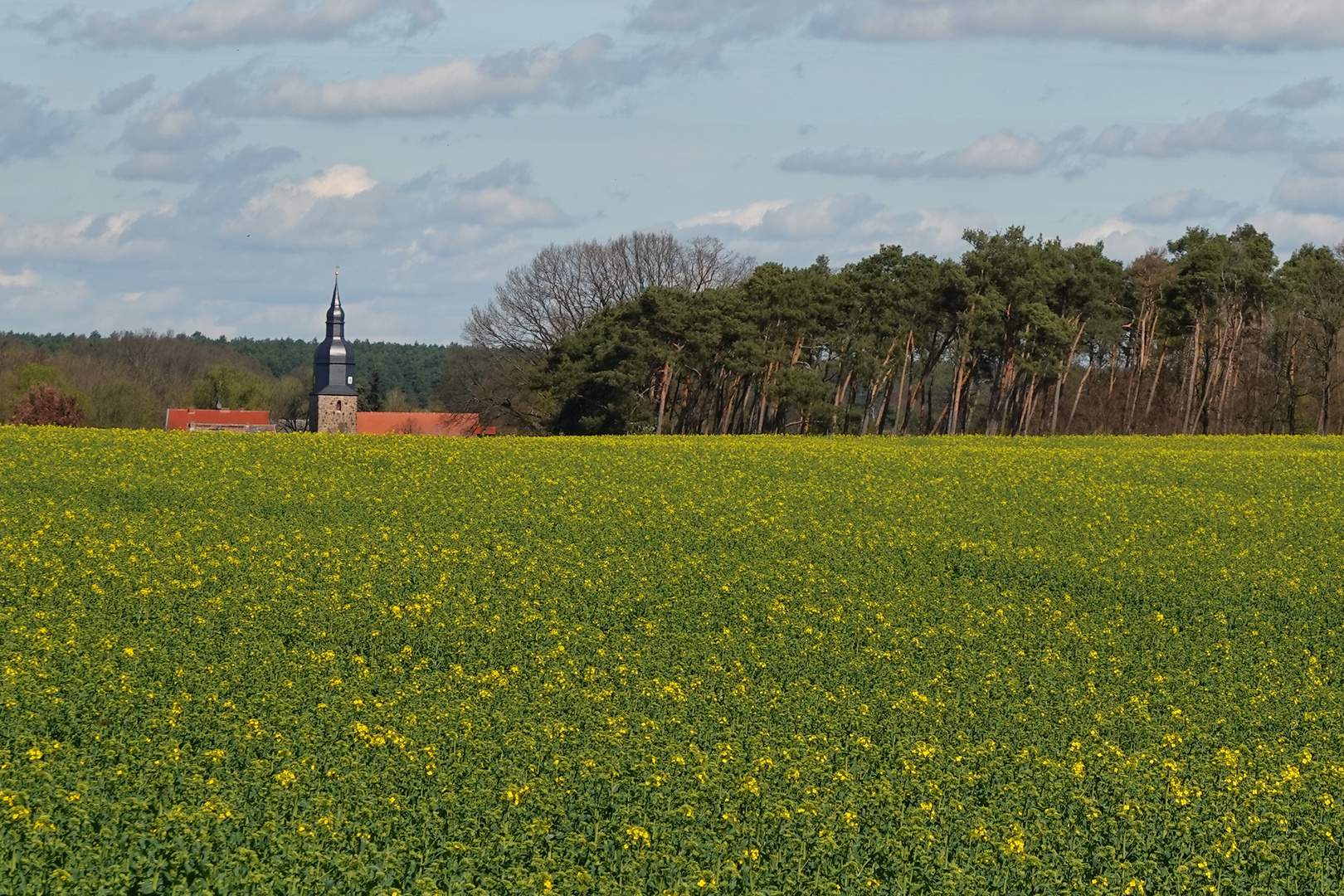 Im Niederen Fläming