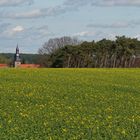 Im Niederen Fläming