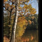 im nördlichen Waldviertel