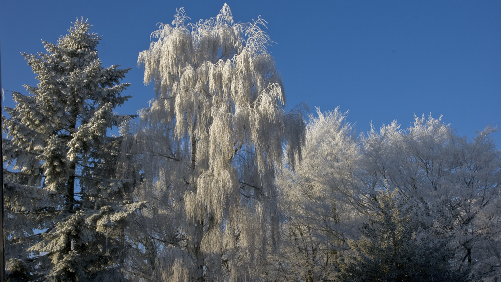 Im Norden leichter Frost