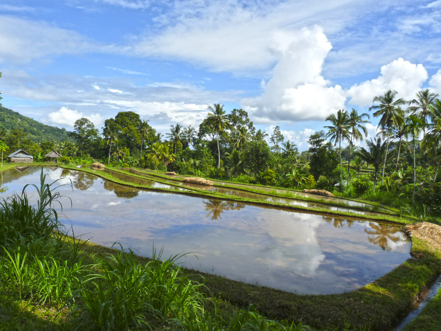 Im Norden Von Bali Foto Bild Asia East Asia World Bilder Auf Fotocommunity