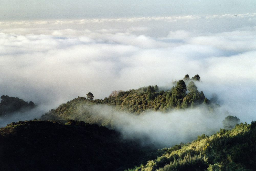 Im Norden von La Palma