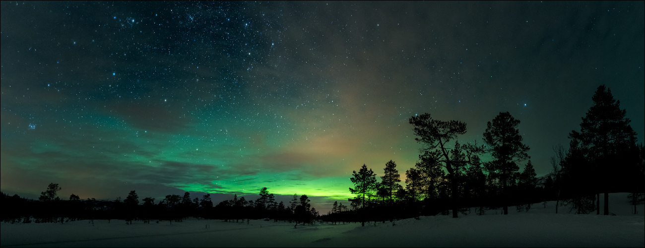 im Nordlichterwald