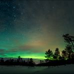 im Nordlichterwald