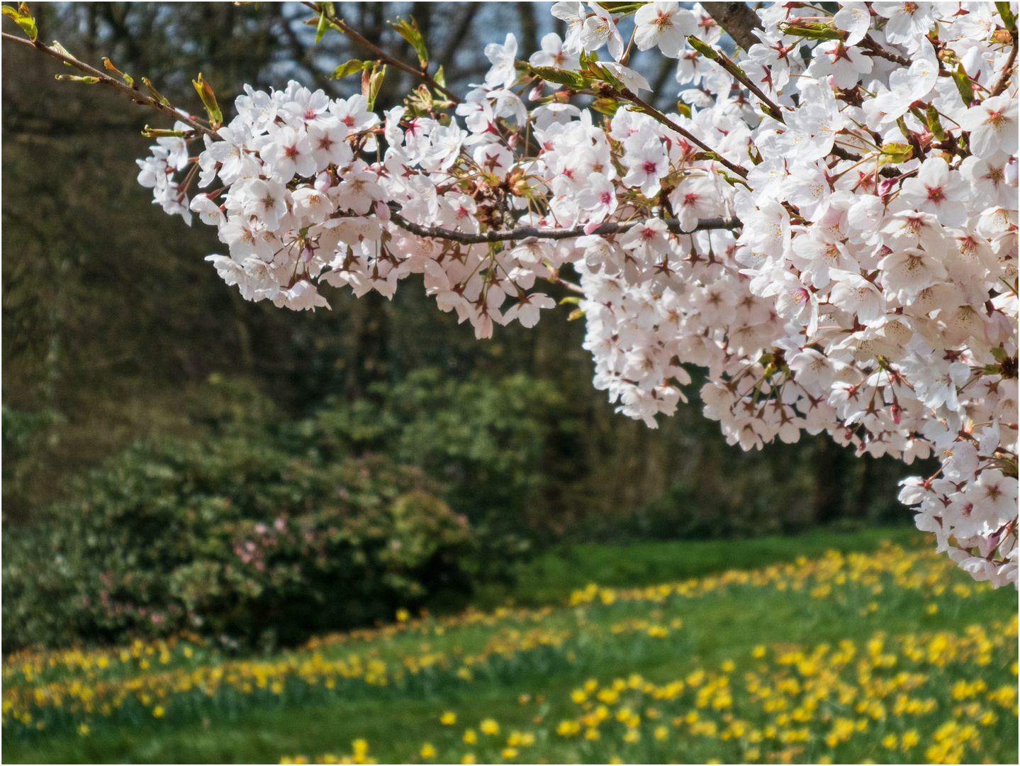 Im Nordpark Wuppertal