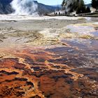 Im Norris Geysir Becken, Yellowstone