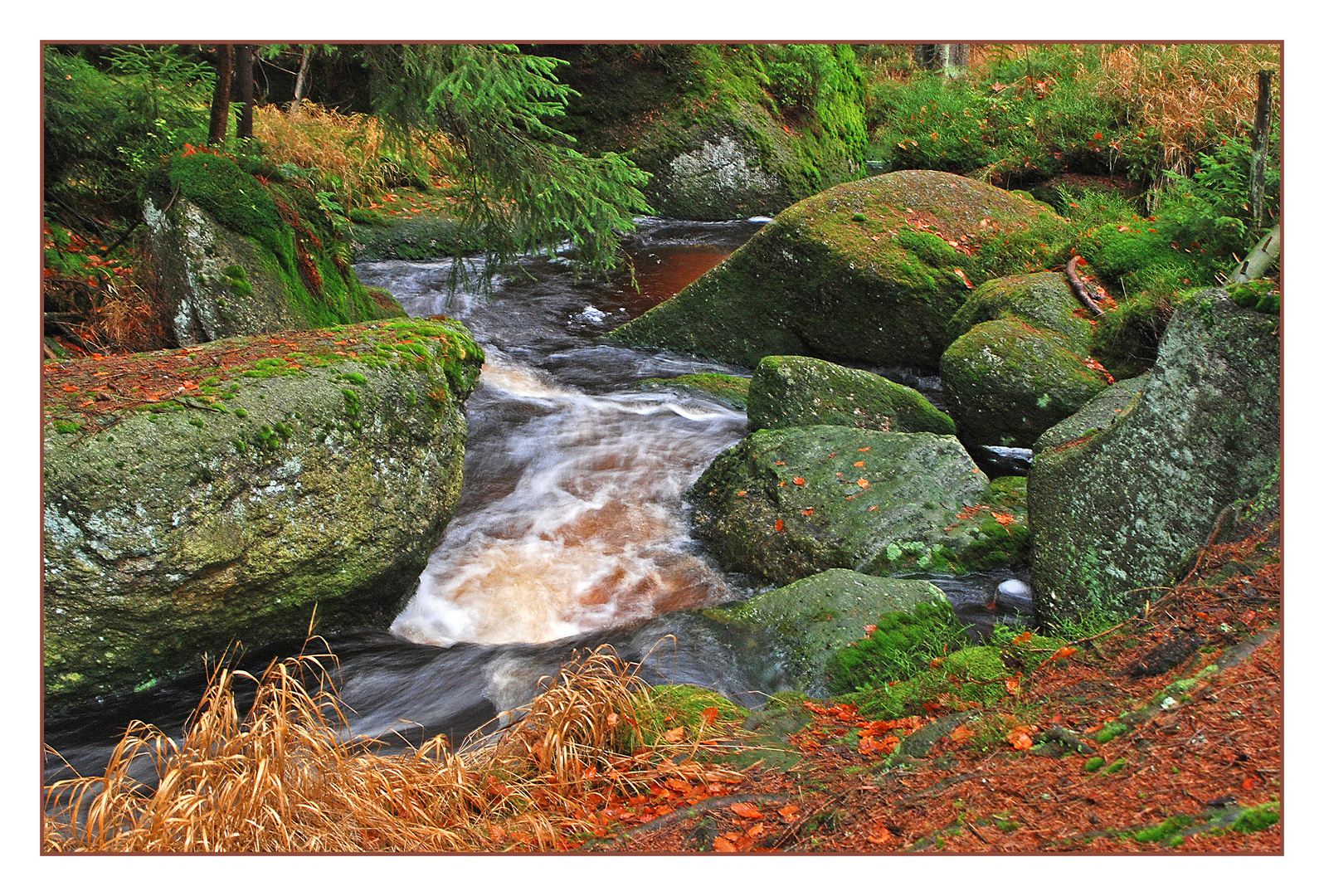 Im November am Bach