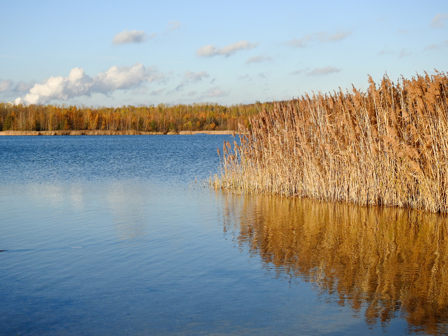 im November am Haselbacher See