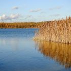 im November am Haselbacher See