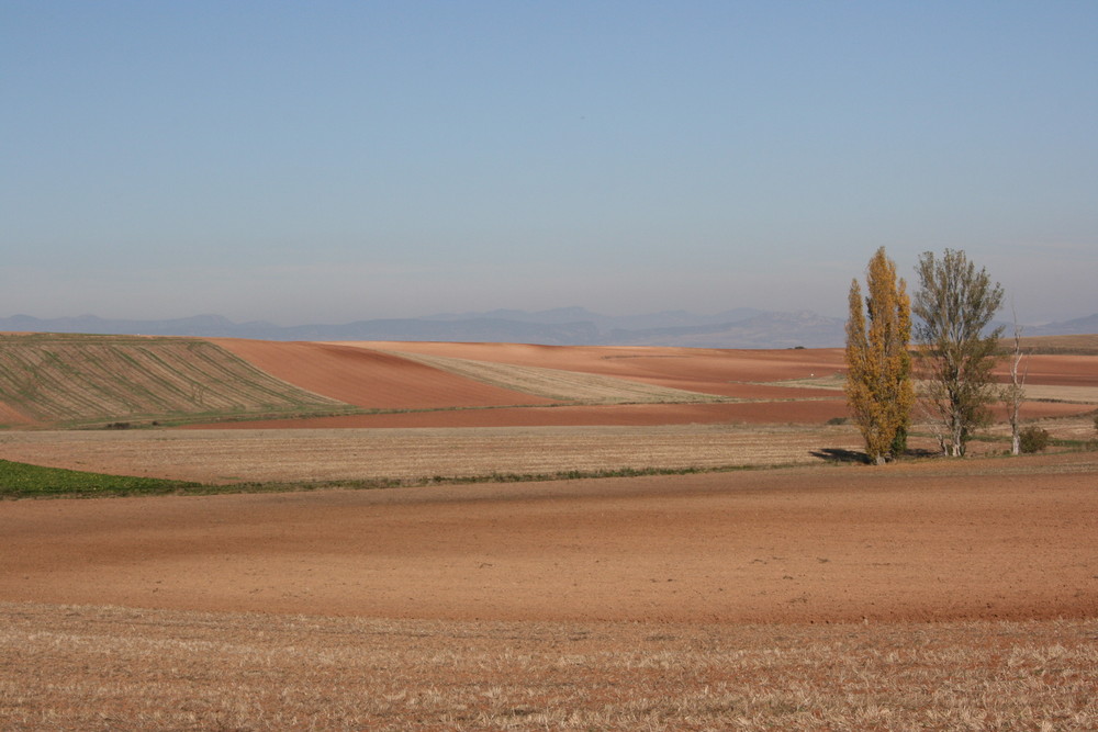 im November auf dem Jakobsweg