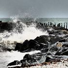 Im November auf der Düne (Helgoland)