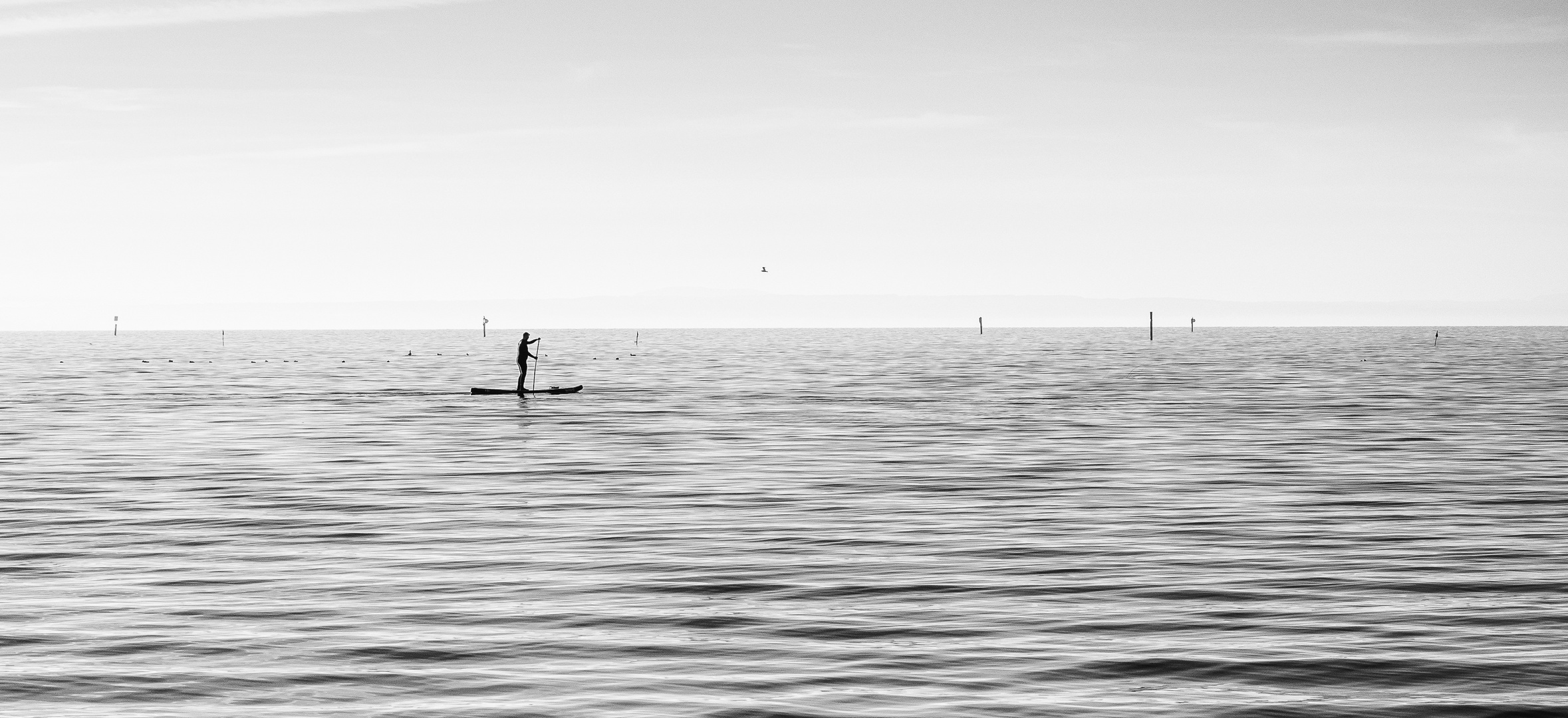 Im November gehört der See den Wasservögeln und ihm