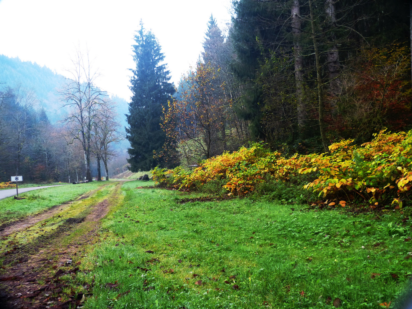 im November von Bad Sulzburg nach Sulzburg