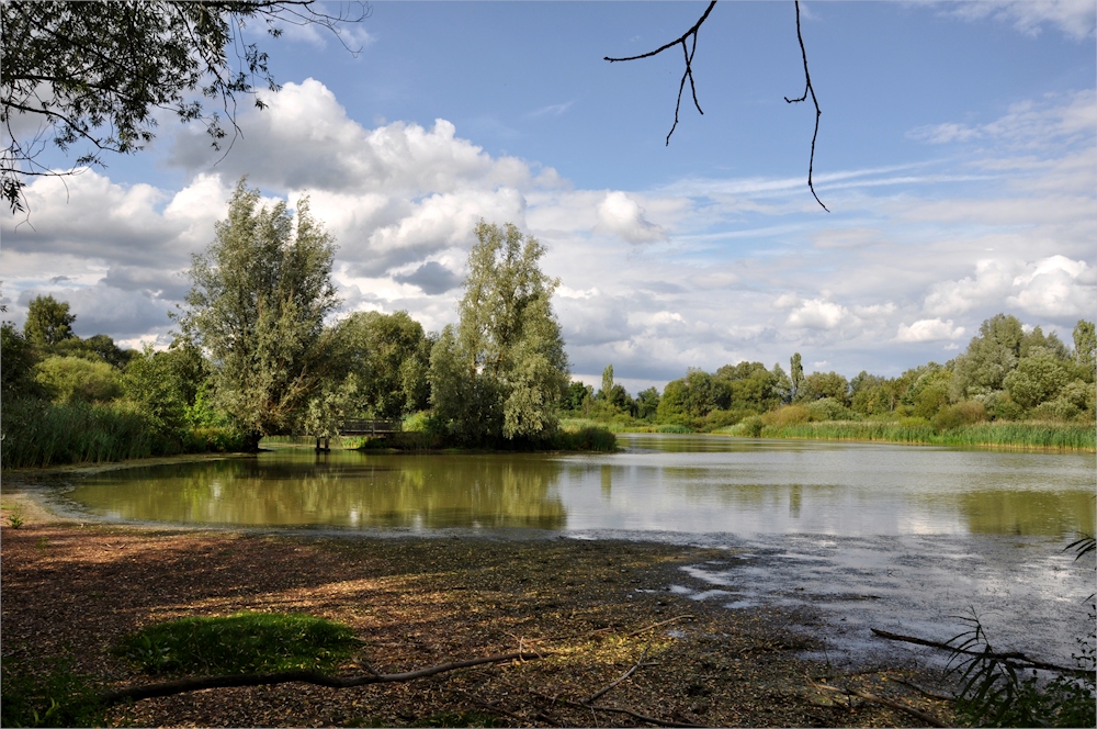 im NSG die Vogelinsel