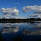 Im NSG hängen tiefe Wolken !