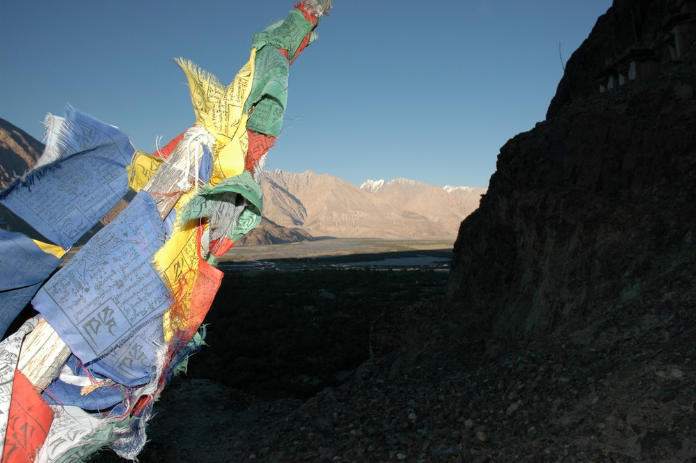 Im Nubratal, Ladakh (Indien)