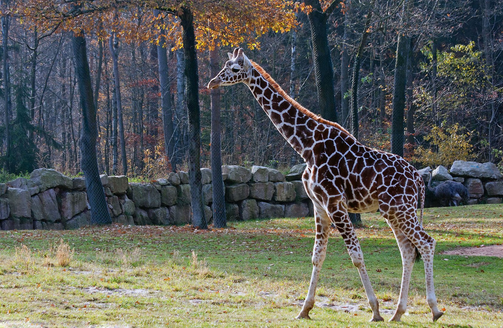 Im Nürnberger Tiergarten