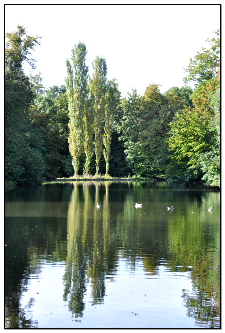 Im Nymphenburger Schlosspark