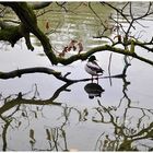 Im Nymphenburger Schlosspark