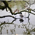 Im Nymphenburger Schlosspark