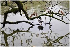 Im Nymphenburger Schlosspark