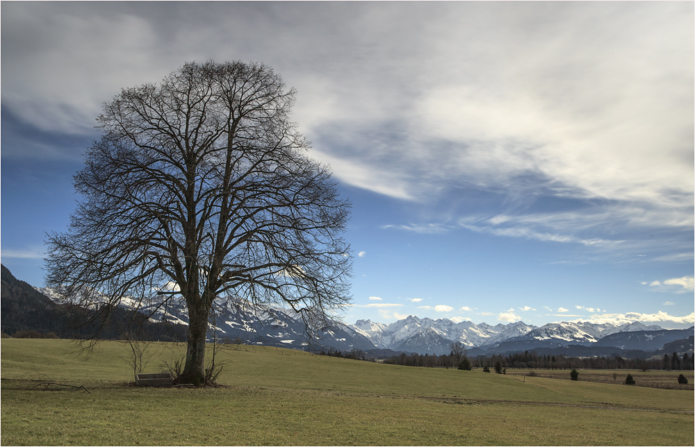 im oberallgäu...