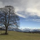 im oberallgäu...