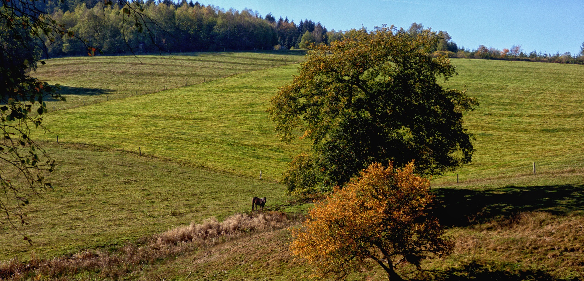 Im Oberbergischen Land