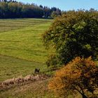 Im Oberbergischen Land