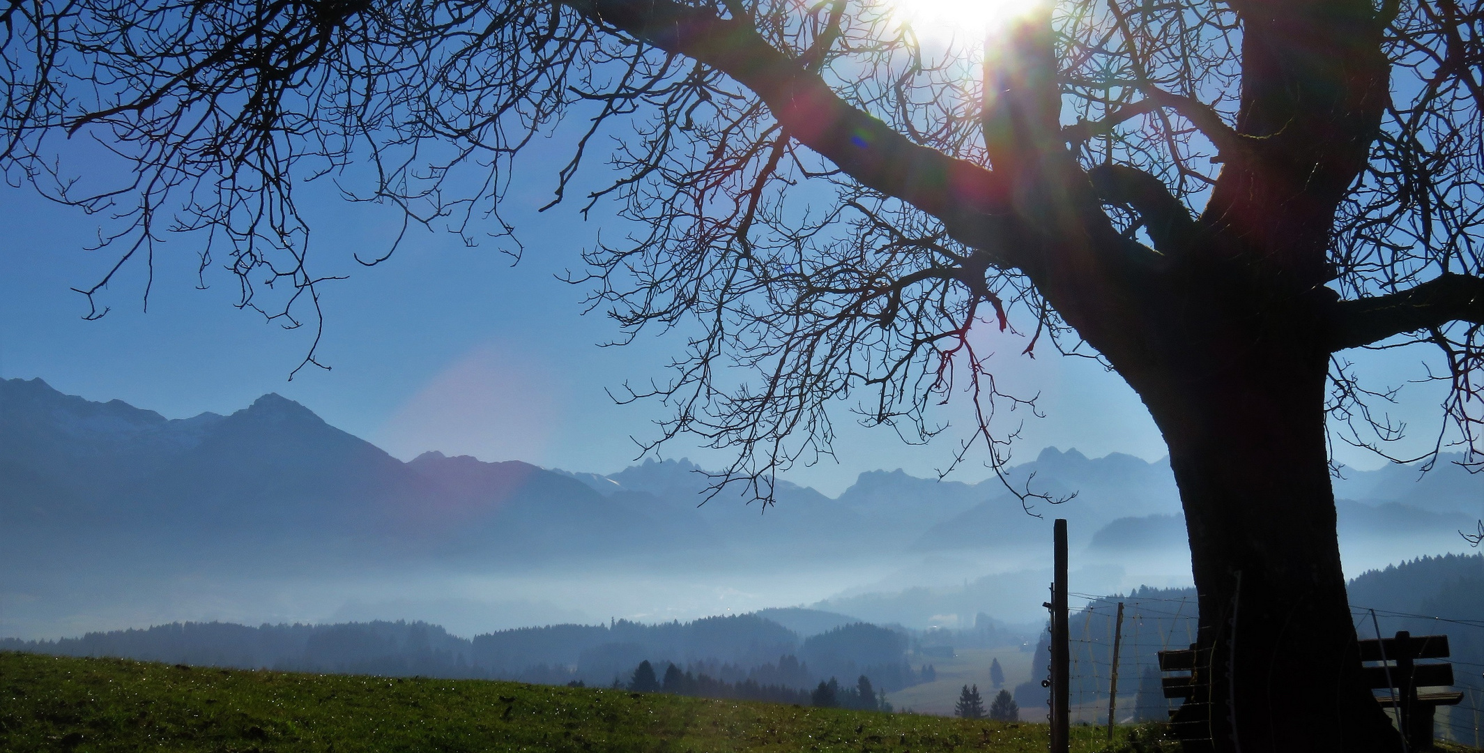 Im oberen Illertal