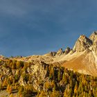 Im Oberengadin bei Sils