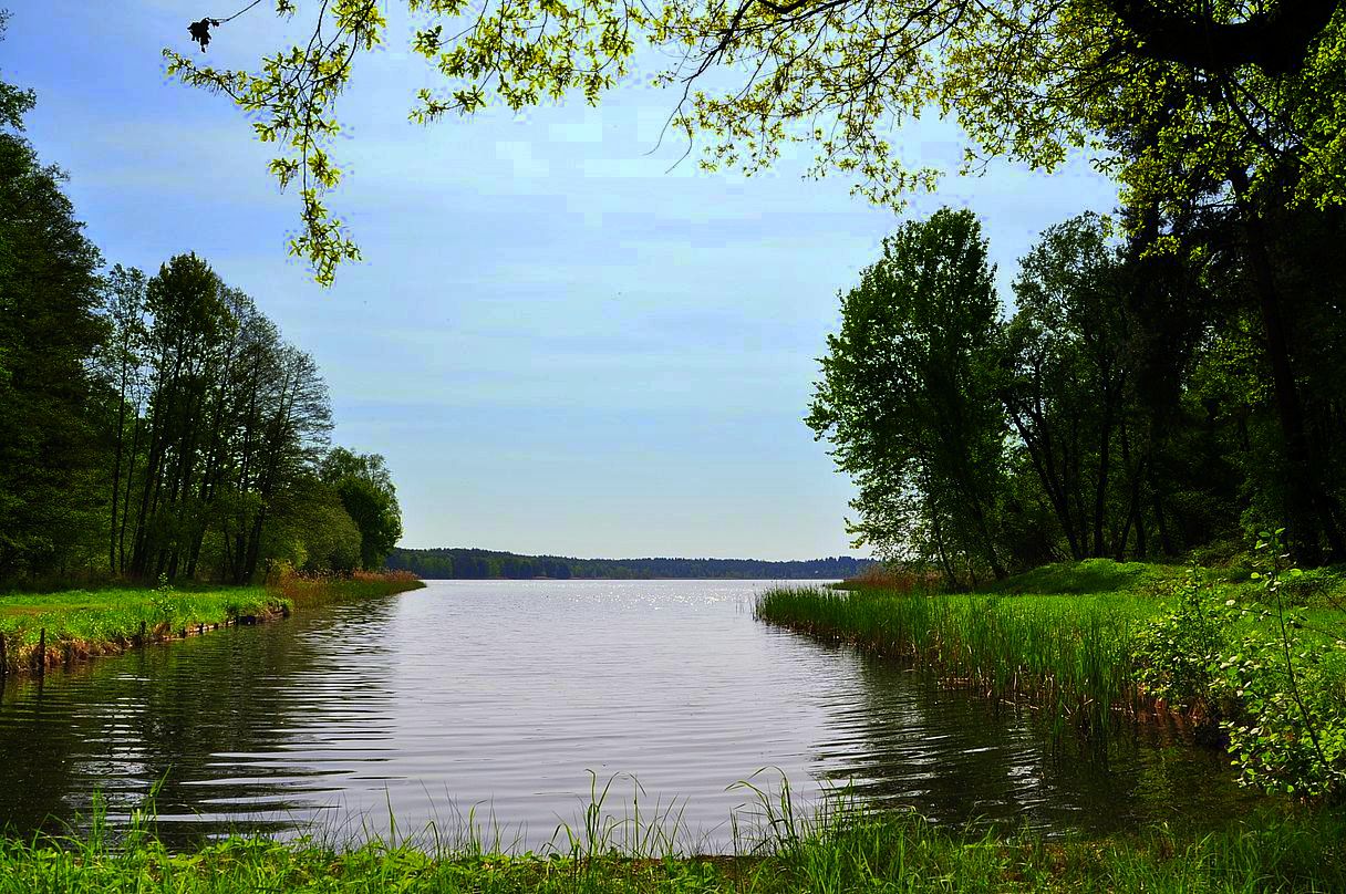 Im Oberlausitzer Heide- und Teichgebiet,