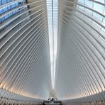 Im Oculus - NY