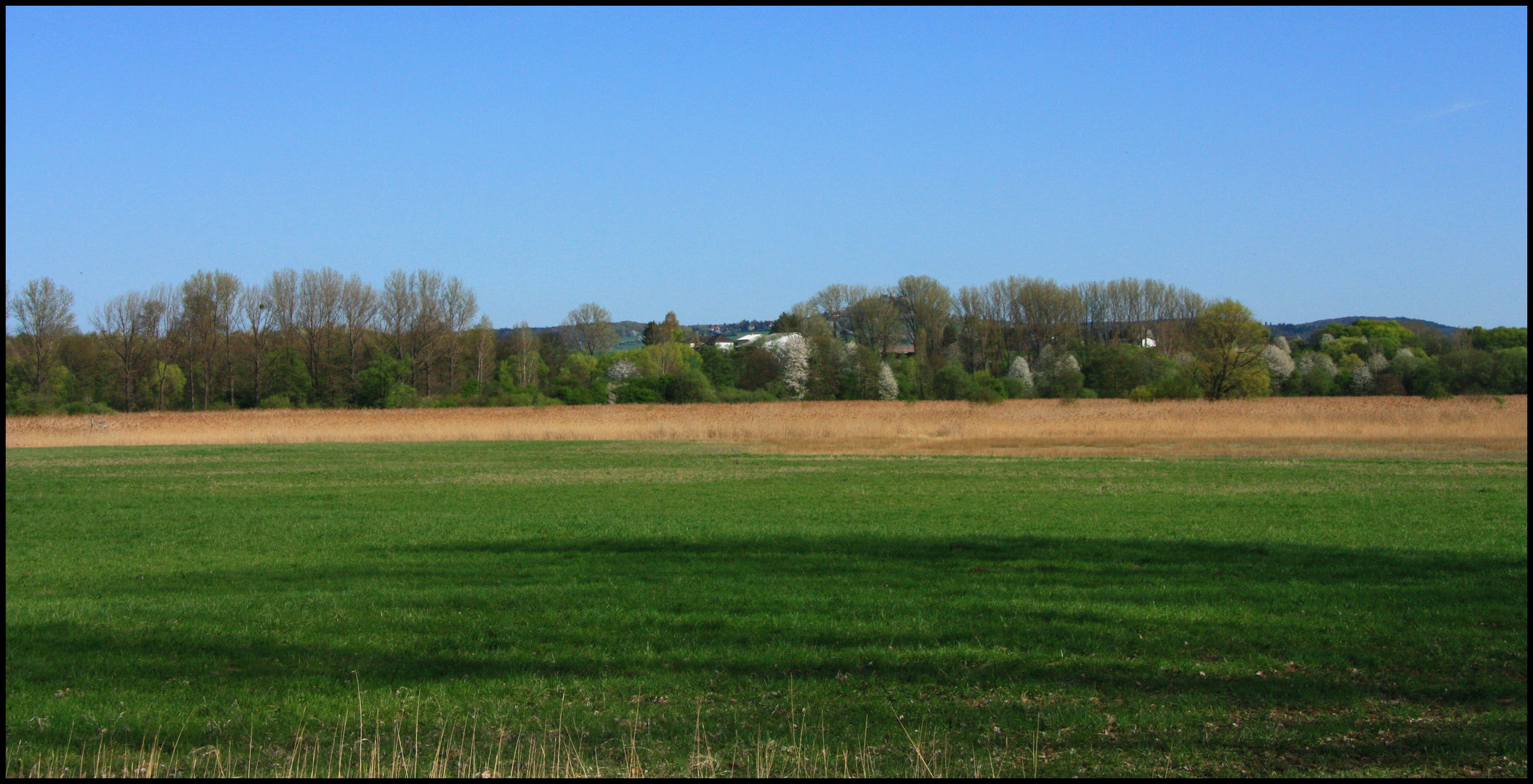 Im Odenwald