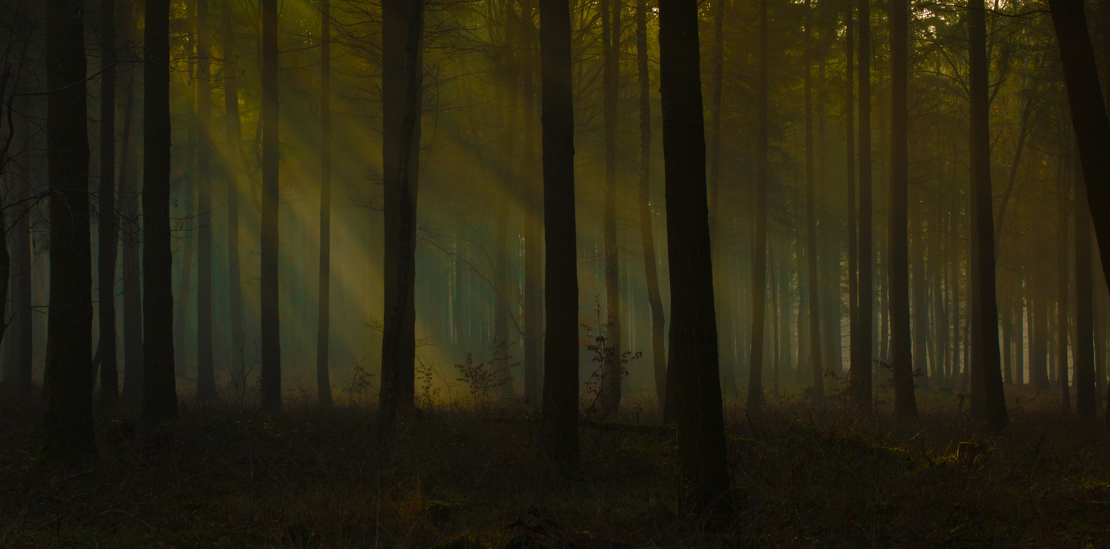 im Odenwald