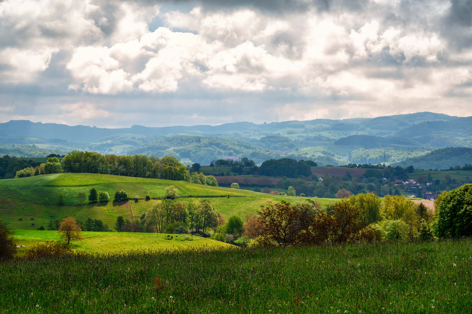 Im Odenwald