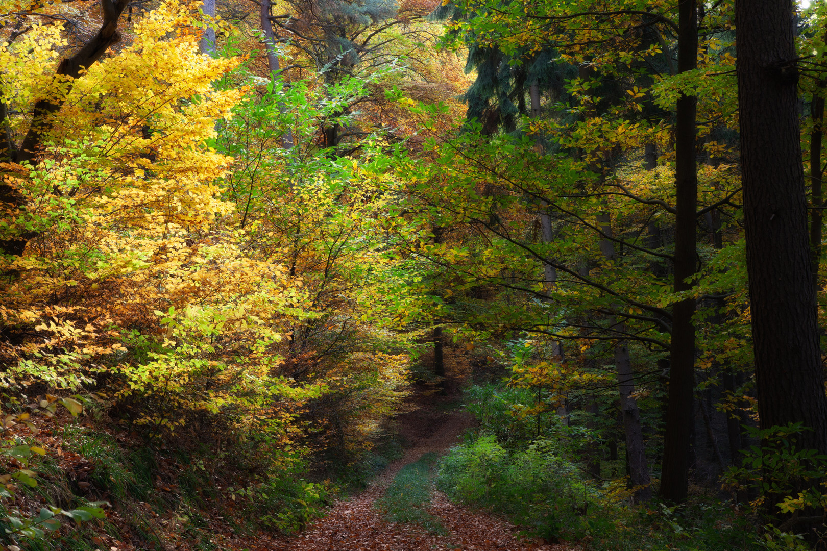 Im Odenwald