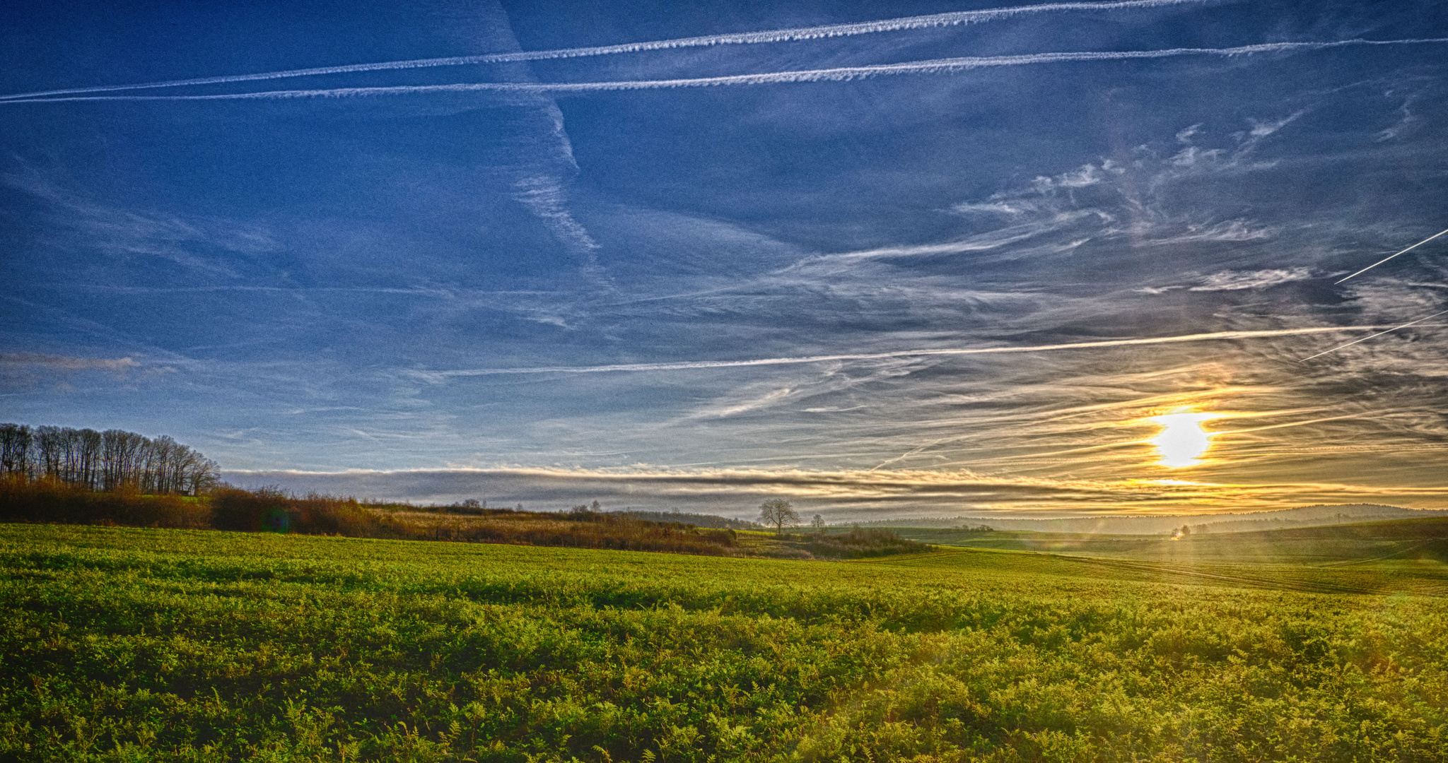 Im Odenwald VI