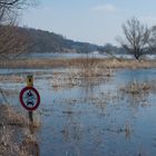 Im Oderbruch bei Gützebieser Loose