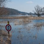 Im Oderbruch bei Gützebieser Loose